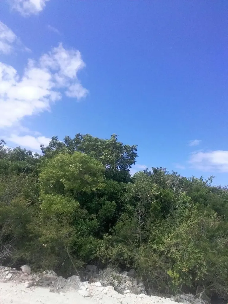 San Salvador Lot 7 Blk 13 San Salvador BS — photo 11