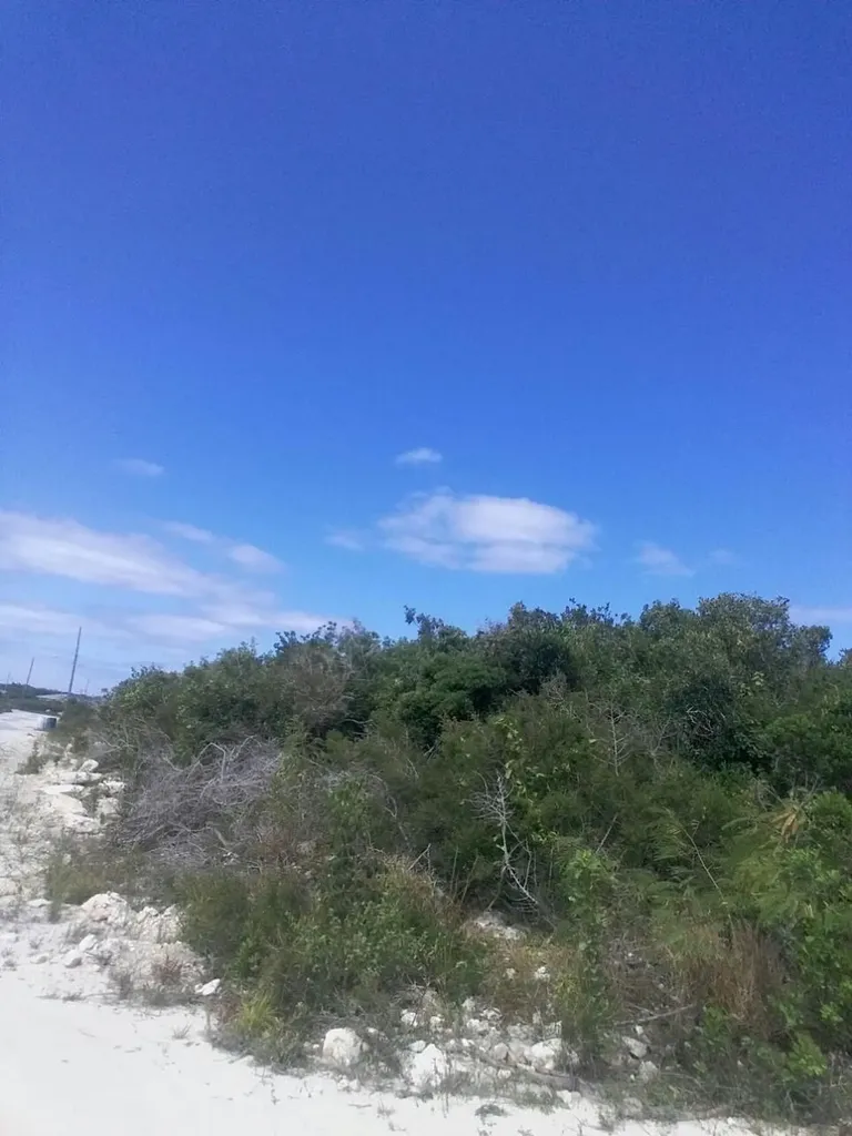 San Salvador Lot 7 Blk 13 San Salvador BS — photo 10