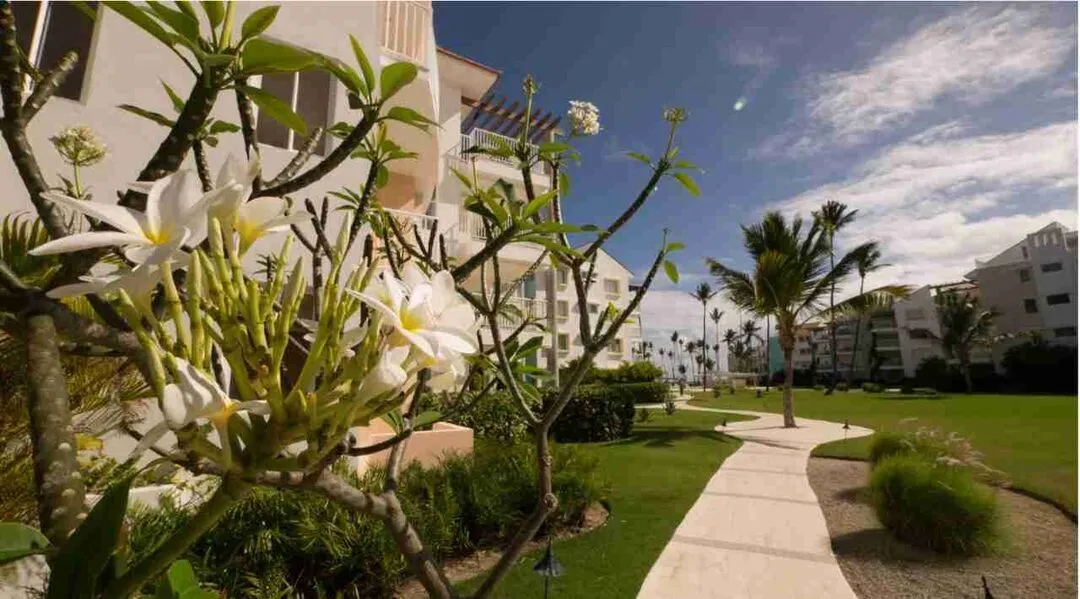 Astonishing Beachfront three-bedroom condo for sale, ideal for Airbnb at Punta Cana