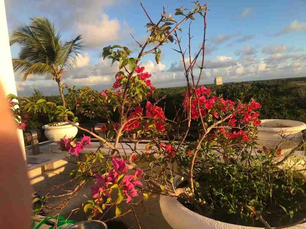 Captivating 3BR Condo for sale in Cap Cana, jacuzzi and Beautiful views! — photo 6