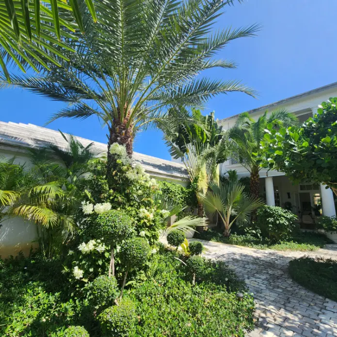 Corales, Seven Bedroom House For Sale in Puntacana Resort & Club, Dominican Republic — photo 3
