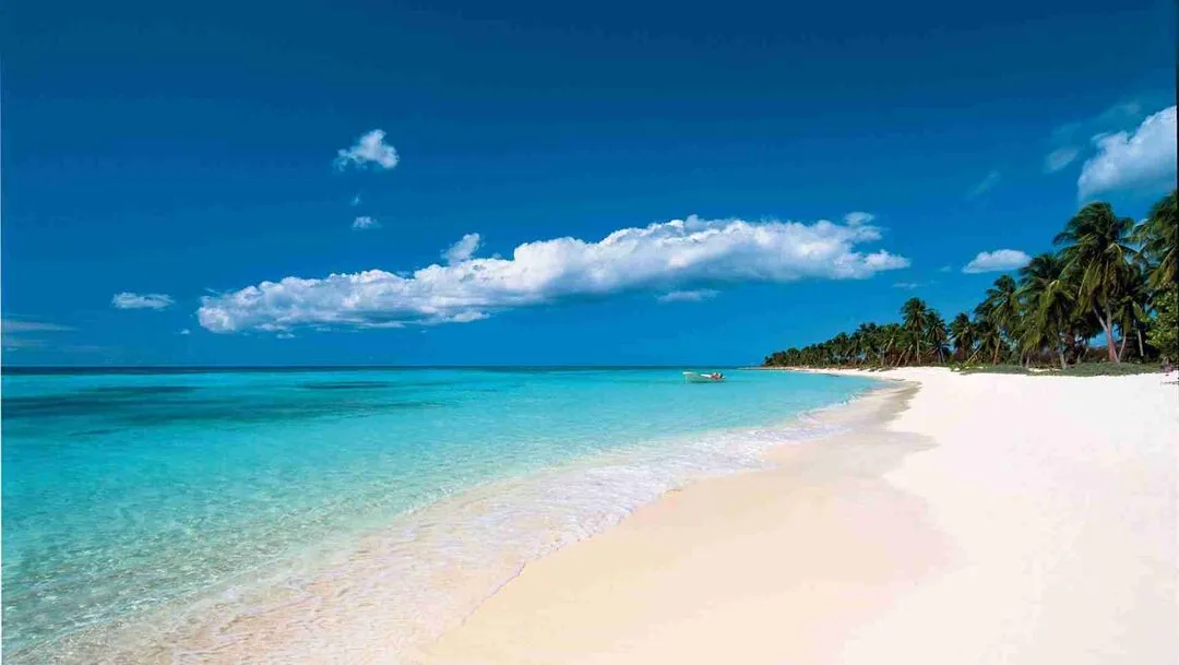 Grand four Bedroom Penthouse in Punta Cana — photo 7
