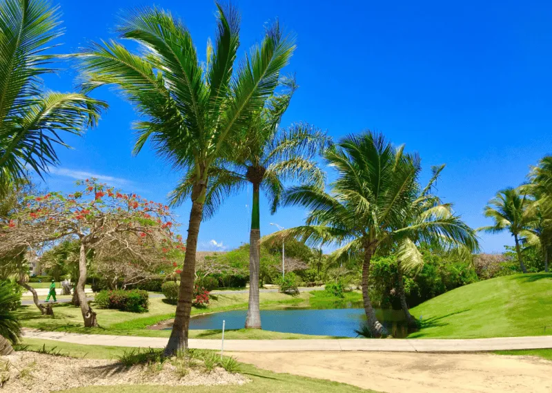 In the prestigious Cocotal Golf & Country Club. Condo on Golf course with Lake View. Beach. Bávaro — photo 3