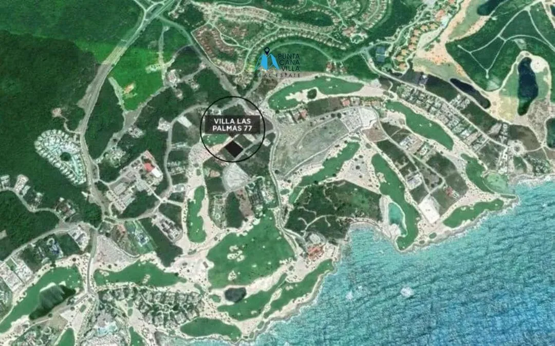 Villa For Sale in Cap Cana, Las Palmas — photo 4