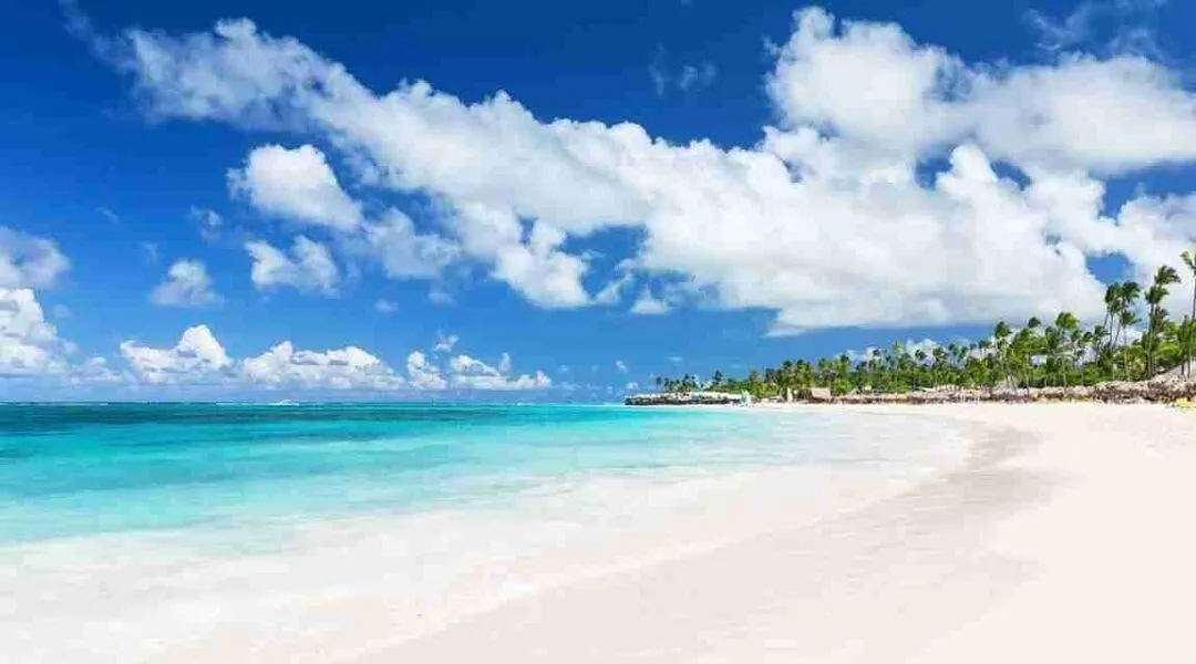 Sausalito Penthouse – Modern 2-Bedroom Condo with Private Rooftop for Sale in Punta Cana — photo 8