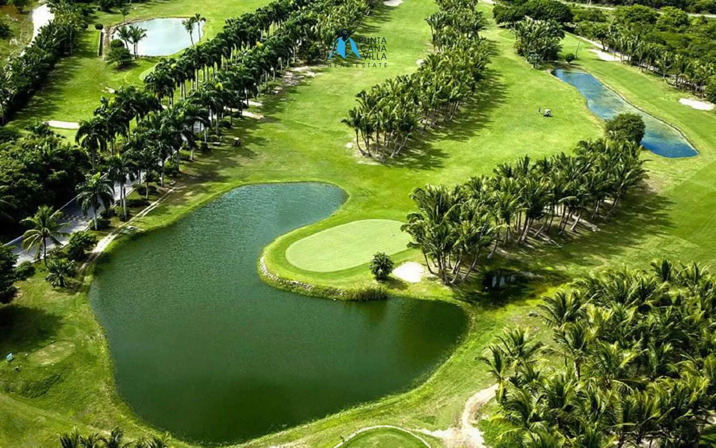 Splendid One-Bedroom Condo For Sale In Cabeza de Toro Punta Cana — photo 6