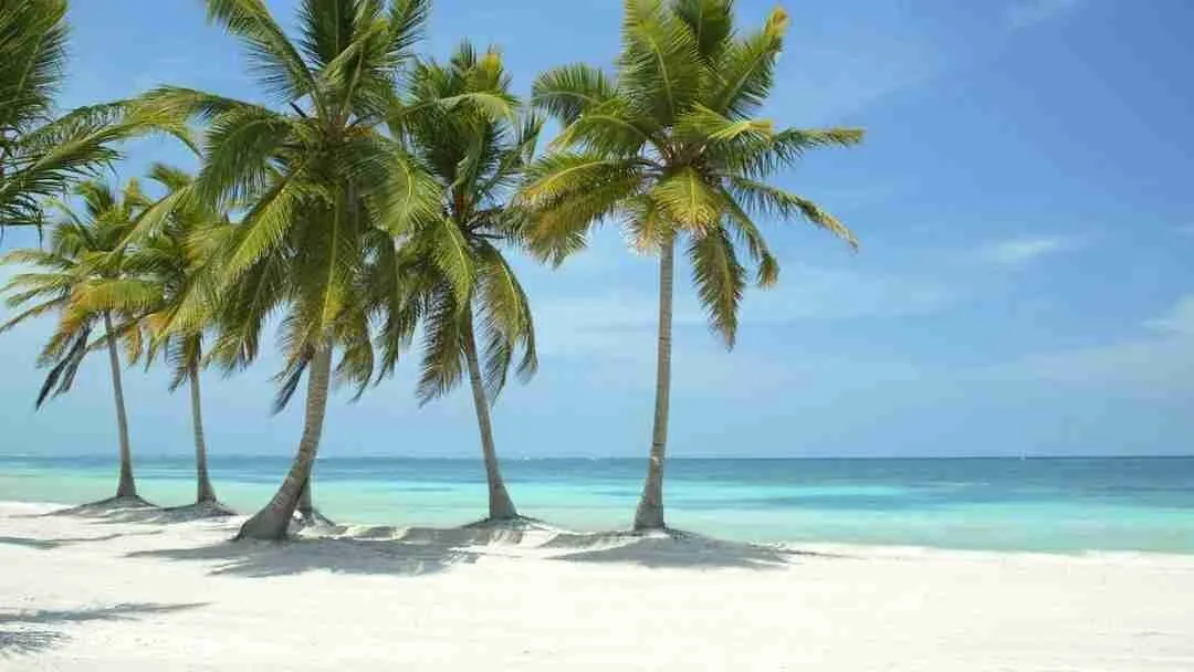 Stunning 3BR Condo for sale Cap Cana just steps from the beach — photo 10