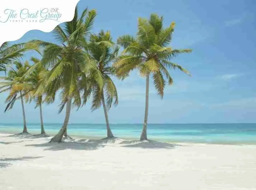 Beautiful Villa in Cap Cana — photo 8
